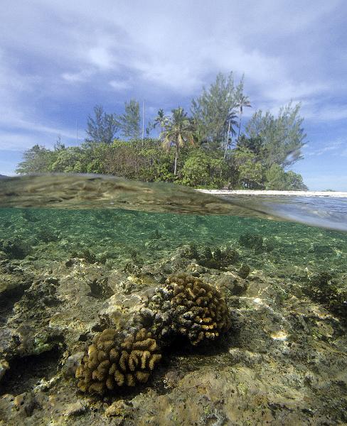 PF Moorea 13 octobre 2012 04.jpg